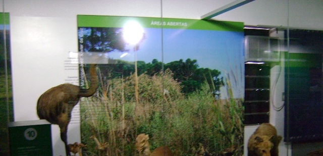 Sistemas de Informação: Ferramenta para o desenvolvimento de pesquisas em Museus de Ciências Naturais
